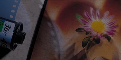 Image Scan